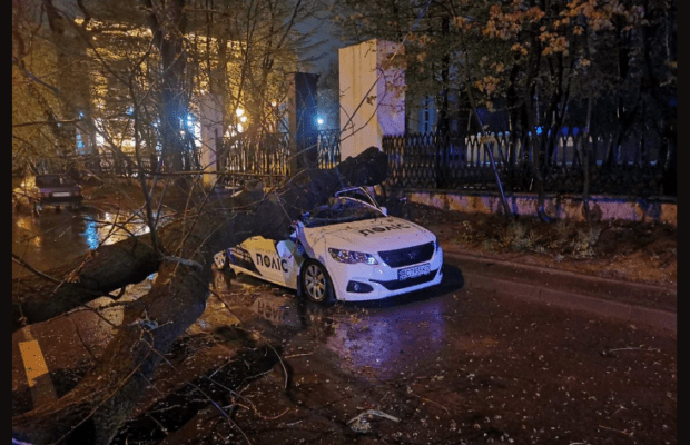 У Львові юридична компанія «Поліс», на службовий автомобіль якої впало дерево, готує позов до суду - 